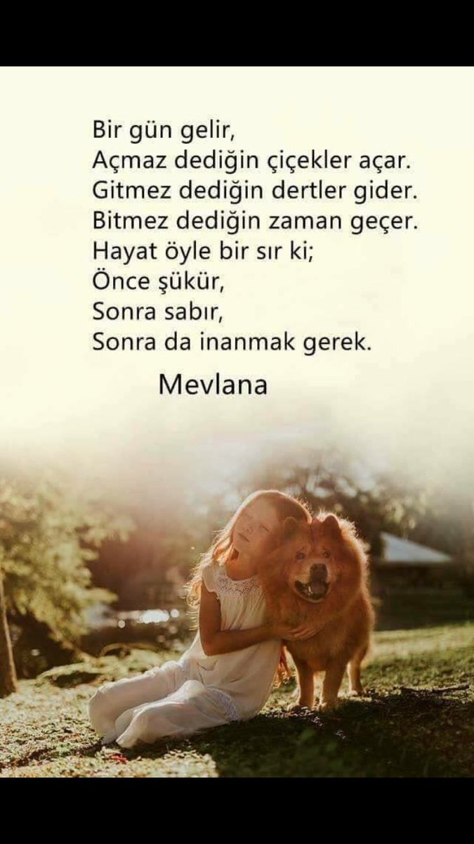 Sevilfatih35 (@sevilfatih351) on Twitter photo 