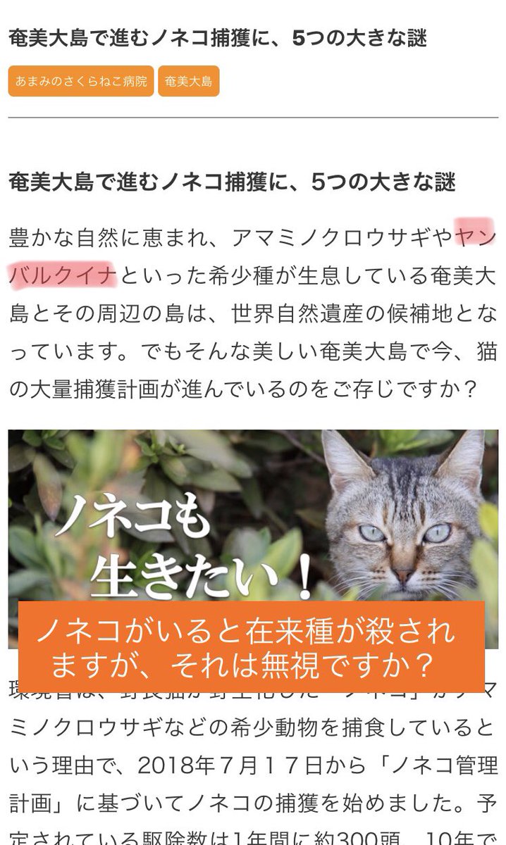 奄美大島で進むノネコ捕獲に 5つの大きな謎 という去年のデマ記事が何故か復活している件 Togetter