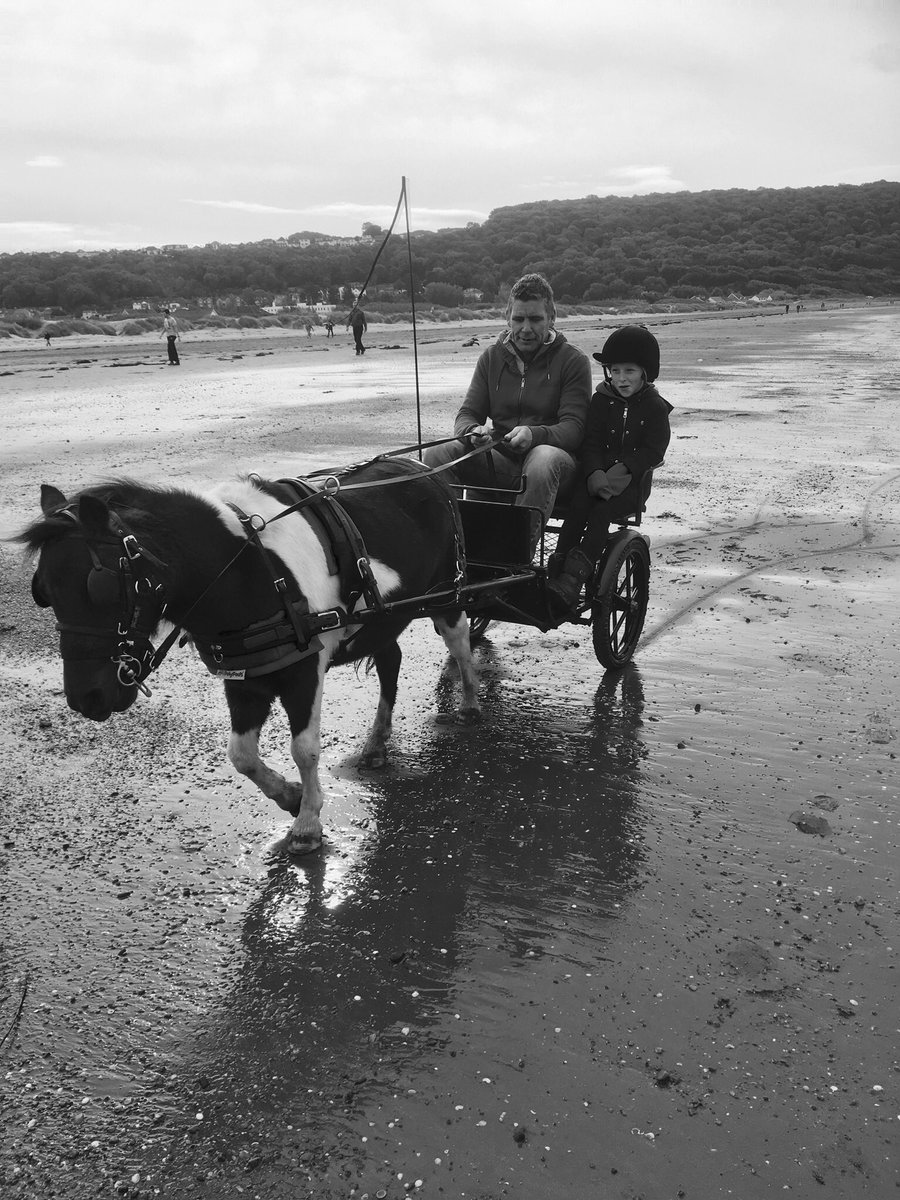 S4nd1es's tweet photo. Beach ride #horses #family #friends https://t.co/1jClC5G9hN