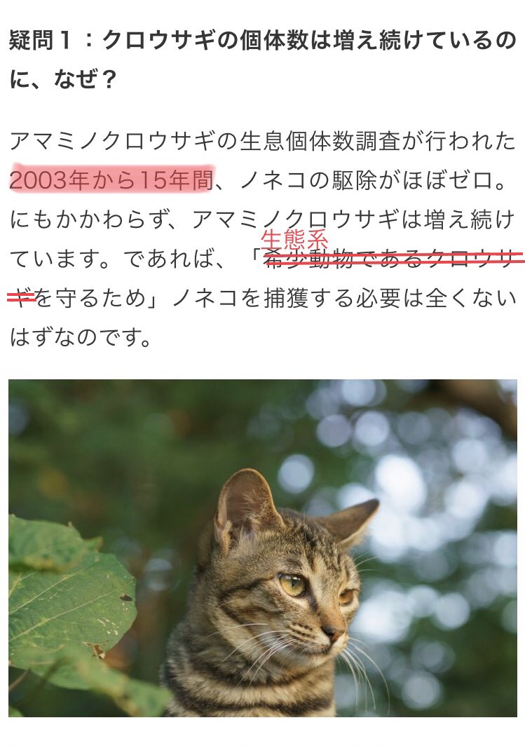 奄美大島で進むノネコ捕獲に 5つの大きな謎 という去年のデマ記事が何故か復活している件 Togetter