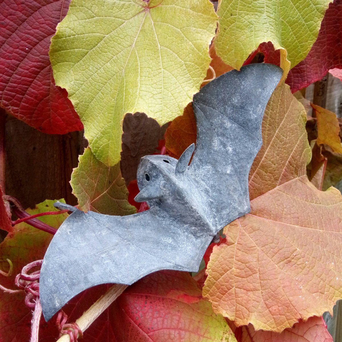 #HerefordHour #Autumn #Wildlife #Bats  #autumncolours  the time of year when #gardensculpture comes into its own