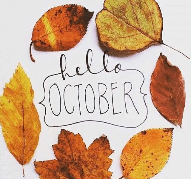MillerFry's tweet image. October is officially here! 🍁What are your favorite activities to do in October?🍂
