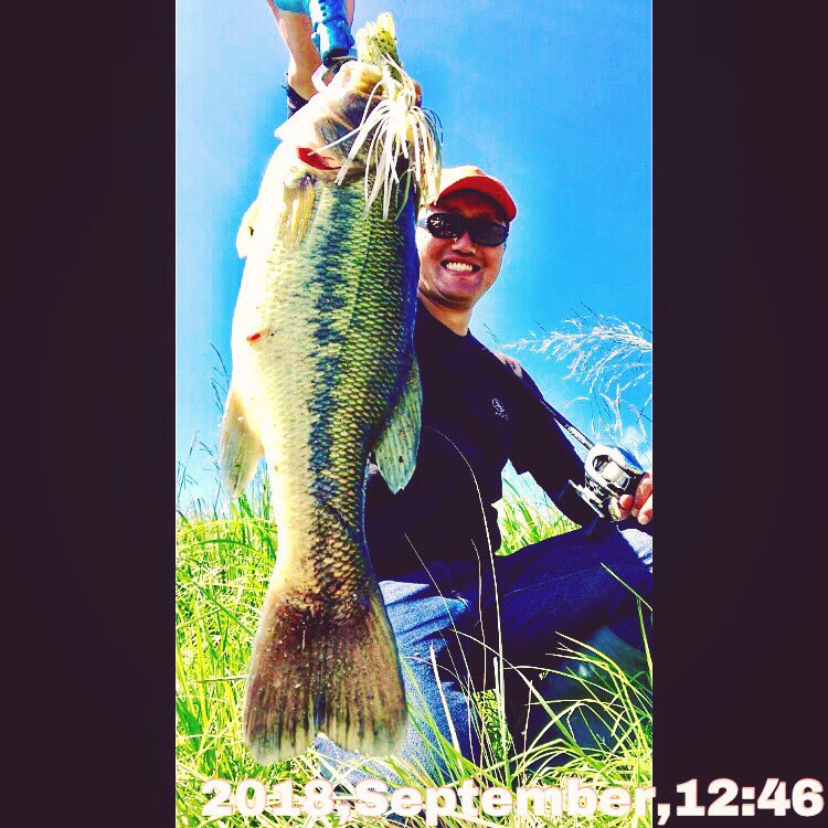roskilde3139's tweet photo. シャローに小魚がうじゃうじゃ、
追い風にのせてぶん投げ、ひたすら巻き倒す大雑把なスタイルが好きです😄🎣
#バス釣り #ジャックハンマー #エバーグリーン #zbc
#嘉瀬川
#jackhammer #evergreen #bladedjig
#speedcraw #zoom
#antares #shimano #bassfishing #blackbass
#zoff #thenorthface #aigle https://t.co/TDLvZcv0tt
