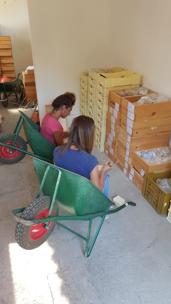 CLA_Pantellaro's tweet photo. Archeologhe a loro agio nel proprio ufficio 😁🔍📝🏺
#professionearcheologo #pubarch #Archaeology #scaviarcheologici https://t.co/Wzl1GdgitX