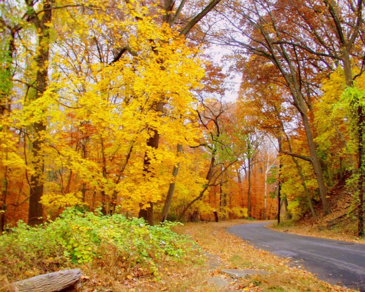 Hello October! #October1st #Autumn #SeasonalMagic