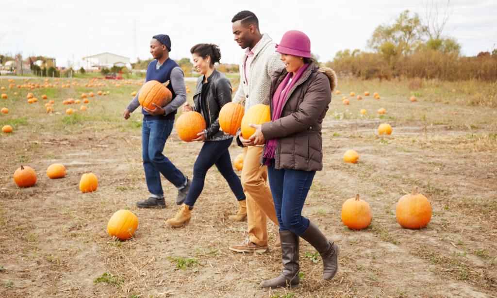 FAll is HERE - shop our favorite activities! livingsoci.al/2Q1YI5T