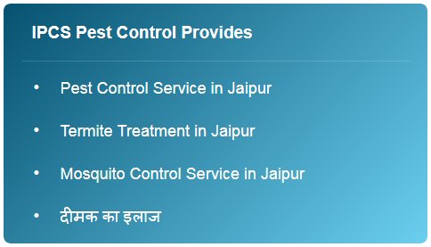 IPCSPest's tweet photo. IPCS Pest Control Provides
Click Here To Find More: https://t.co/n5U1ksrySz
#ipcspestcontrol #termitecontrol #MosquitoControl #MosquitoFogging #TermiteControl #jaipur https://t.co/77AepLL3pj