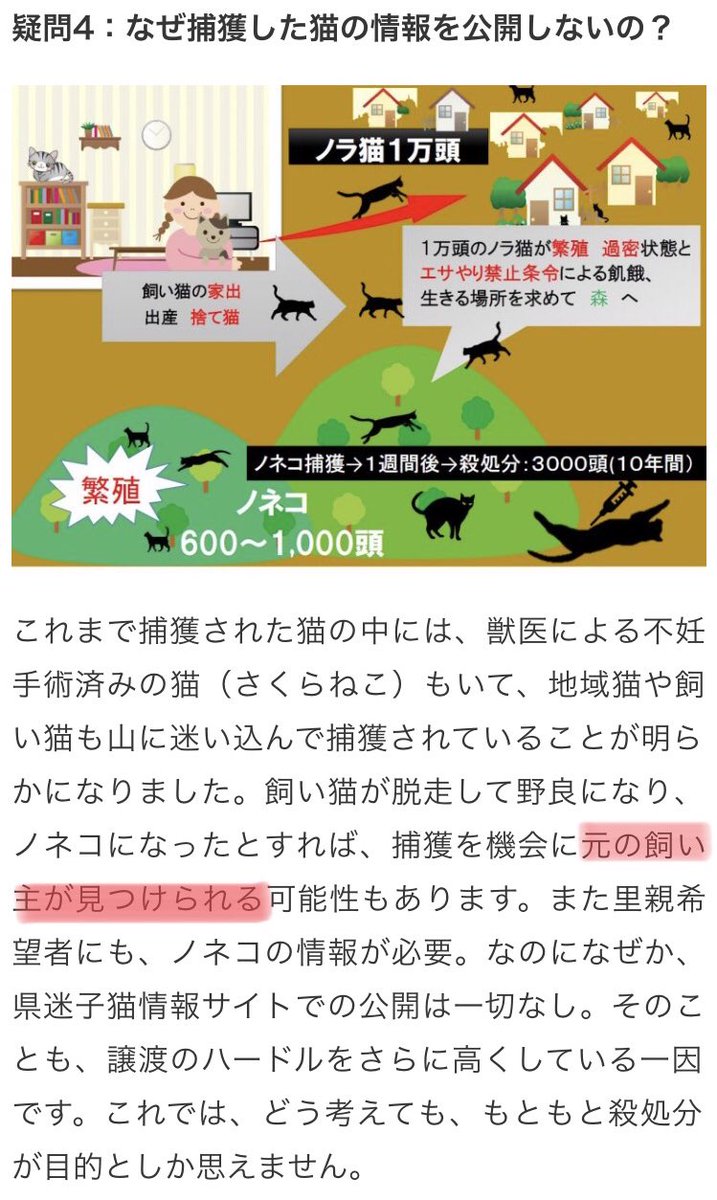 奄美大島で進むノネコ捕獲に 5つの大きな謎 という去年のデマ記事が何故か復活している件 Togetter