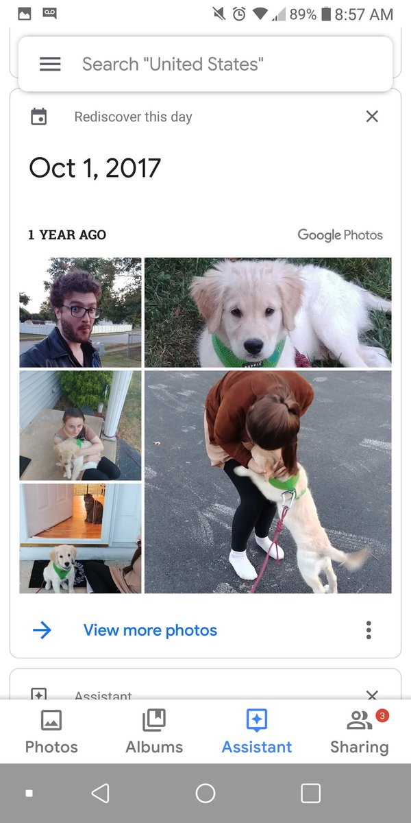 Google informs me that a year ago today I got a puppy and made a silly face.