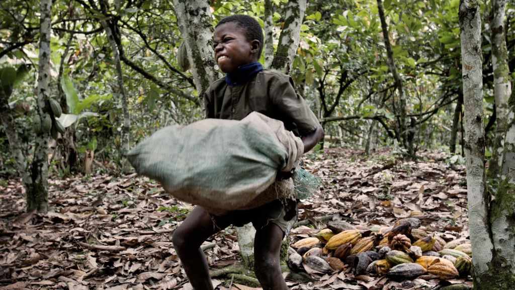 robkarch's tweet photo. A Way to Fight Slavery that Costs You Nothing https://t.co/mkGpplIBNG https://t.co/pkxaAJX5cZ