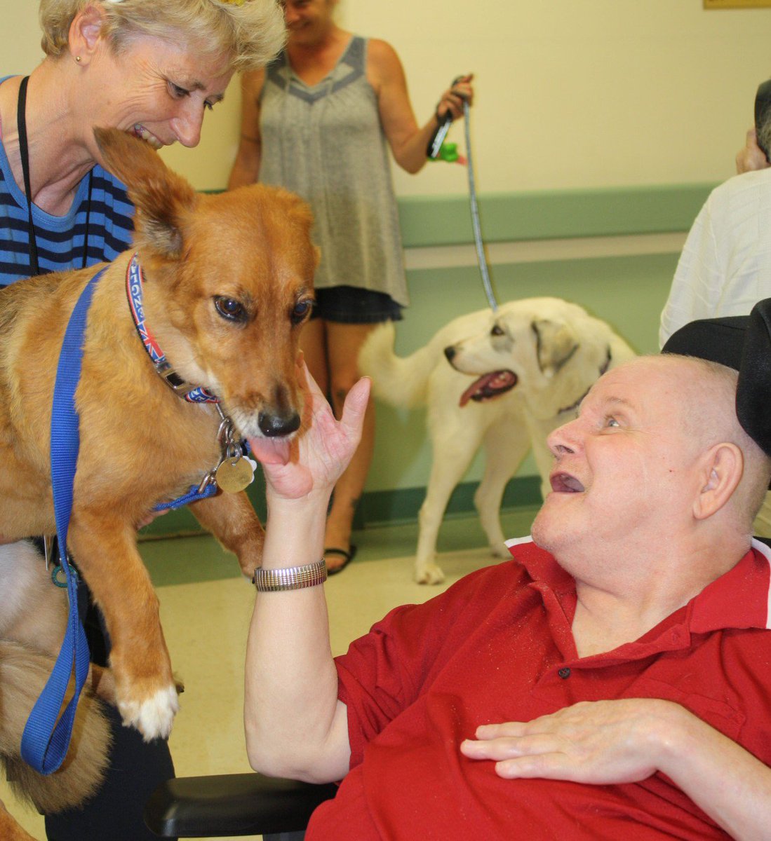 Jarlette's tweet photo. Pups on parade was the name of the game at #LeacockCareCentre! Hosting their first annual "Mutt Strut" in an effort to raise funds for the local @OrilliaSPCA, Residents reveled in the company of local four-legged friends, and raised $150 for the community organization! https://t.co/Yb6zbWYFas