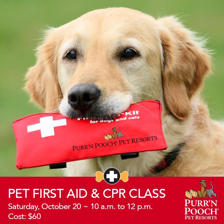 PurrNPooch's tweet photo. Head over to https://t.co/zO7nNkxz6V to sign up! https://t.co/EOMOos7EFy