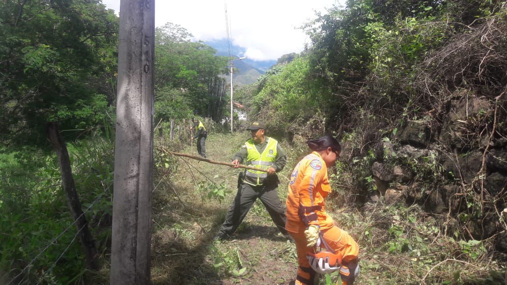 guille0123's tweet photo. En el corregimiento la fuente se realizó la gestión comunitaria logrando así la limpieza de los caminos reales del sector palo florido y la  cancha de fútbol  así mismo se hizo un sancocho comunitario Contando con la participación de @PoliciaStander, @DefensaCivilCo y comunidad https://t.co/TtyPsGQO9t