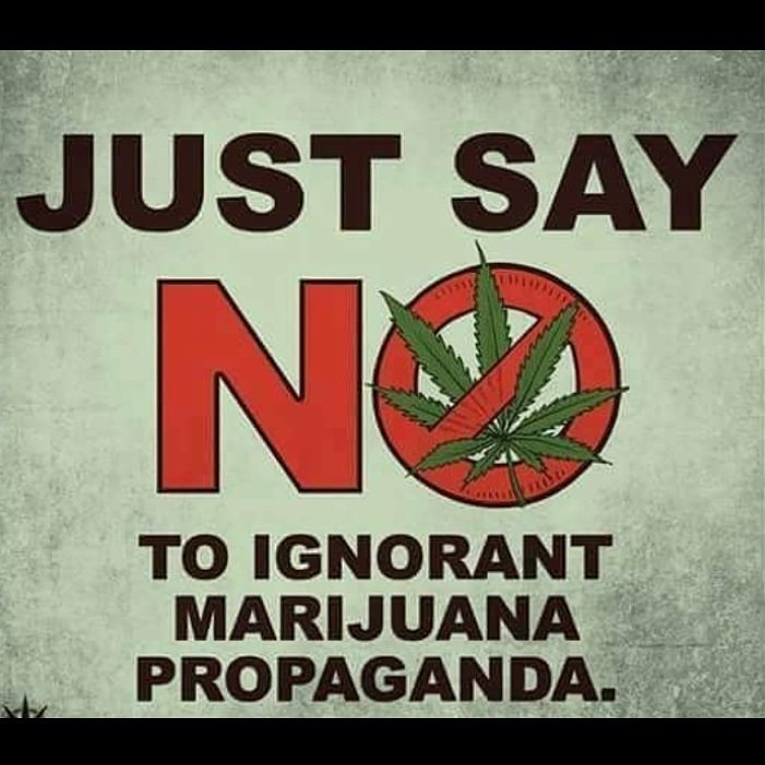 Wonderf90639106's tweet photo. #legalizeit #legalization #legalweed #MedicalCannabis #Medicalmarijuana #marijuana #mmj #Cannabis #weedstagram #weedsociety #CannabisCommunity #cbd #cbdcures #cbdheals #cbdhemp #cbdhempoil #cbdgummies #cbdisolate #cbdisforme #cbdforpets #cbdoil #cbdvape #stonerfam #iamcannabis https://t.co/osaLh53Wx6