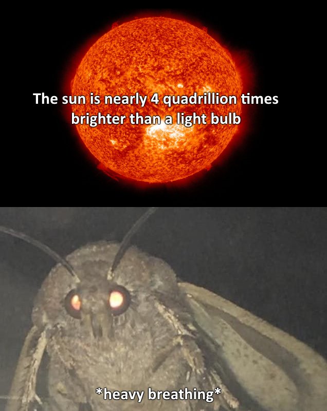 PhysicsUCD's tweet image. Welcome to the start of the spookiest month of the year, more commonly known as the month of space week!Check out our event for space week, happening on the 8th of Oct, you won&apos;t want to miss it!Gotta fuel the moth memes with our Meme Mondays!Credit Dank Matter Astrophysics Memes