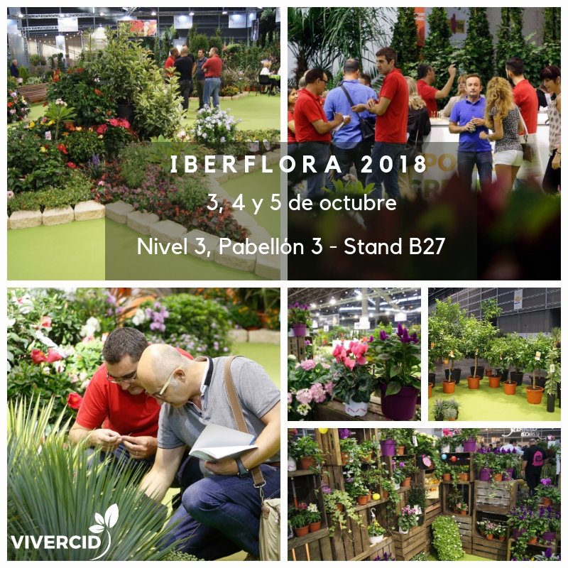 Vivercid's tweet photo. ¡Quedan dos días para @Iberflora!😱 Ya huele a feria...🔜⏰💃
#Iberflora2018 #Feria #Valencia #octubre #floresyplantas #vivercid #thepowerofgreen https://t.co/WxEdF2iScA