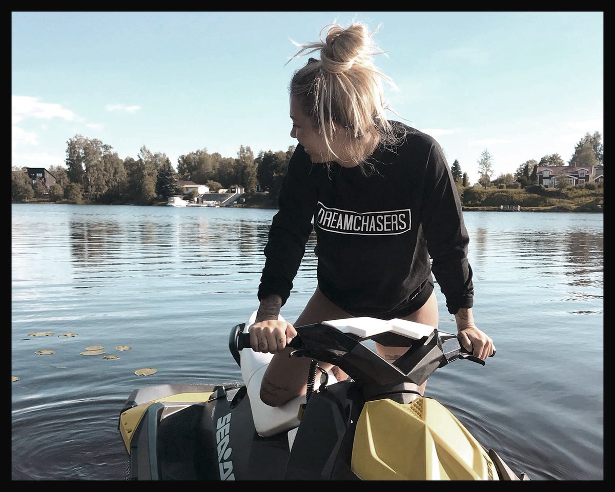 dreamchasers tweet media