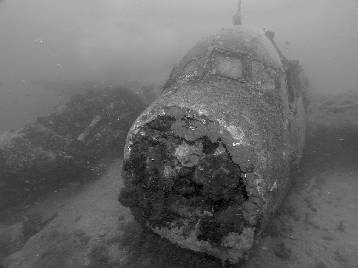 SerialDiver's tweet image. Una sagoma che giace sul fondo... ma appena la vedi rievoca subito tutto l'inferno dei suoi ultimi istanti di vita!..
link---&amp;gt; serialdiver.com/blog/sullo-jun…

#serialdiver #scuba #scubadiving #wreck #underwater #photography