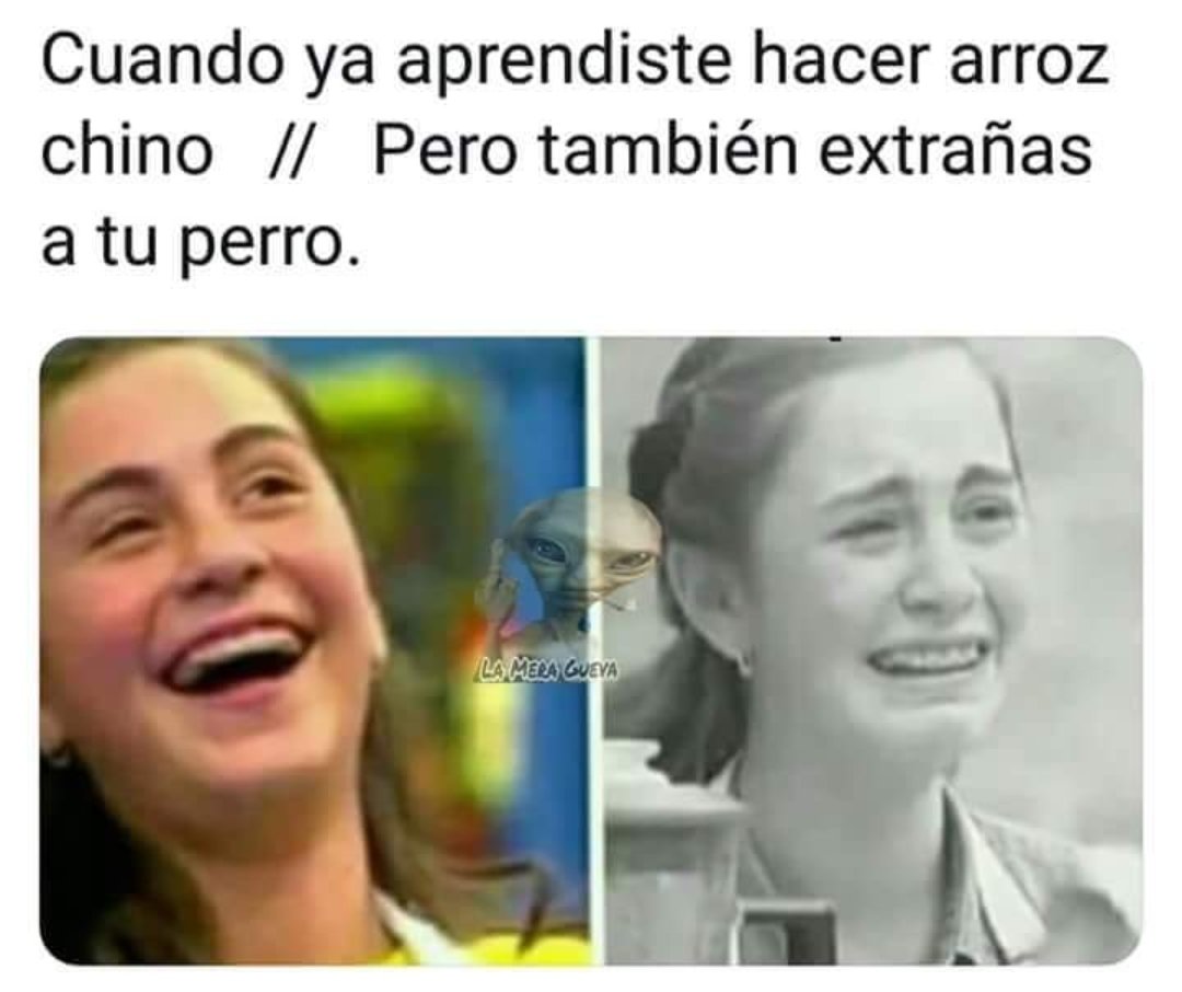 ERodriguezCool's tweet photo. #FelizLunes https://t.co/ILYJgMXt1K