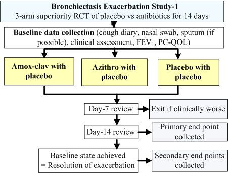pediatricmeet's tweet photo. Latest Updates on #Pediatrics : https://t.co/qIIz2wcSM1

Amoxicillin-Clavulanate Remains Top Choice for Bronchiectasis Exacerbations in Kids
#PediatricMedicine  #PediatricAntibiotics #PediatriCare  #PediatricInfections  #PediatricImmunology https://t.co/vtWoXAmi6b