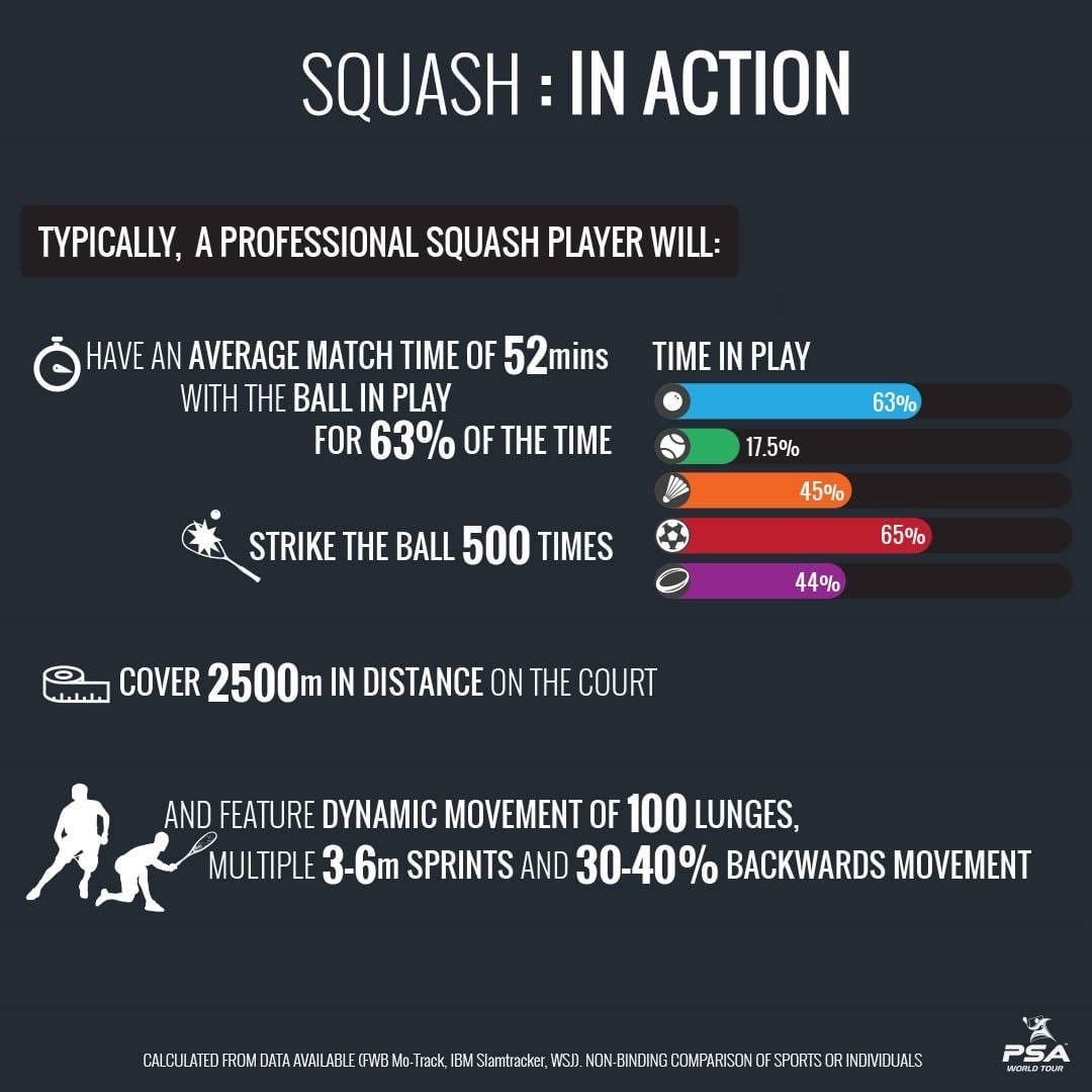 HashtagSquash's tweet photo. #squash https://t.co/4Rxj8s4ycQ