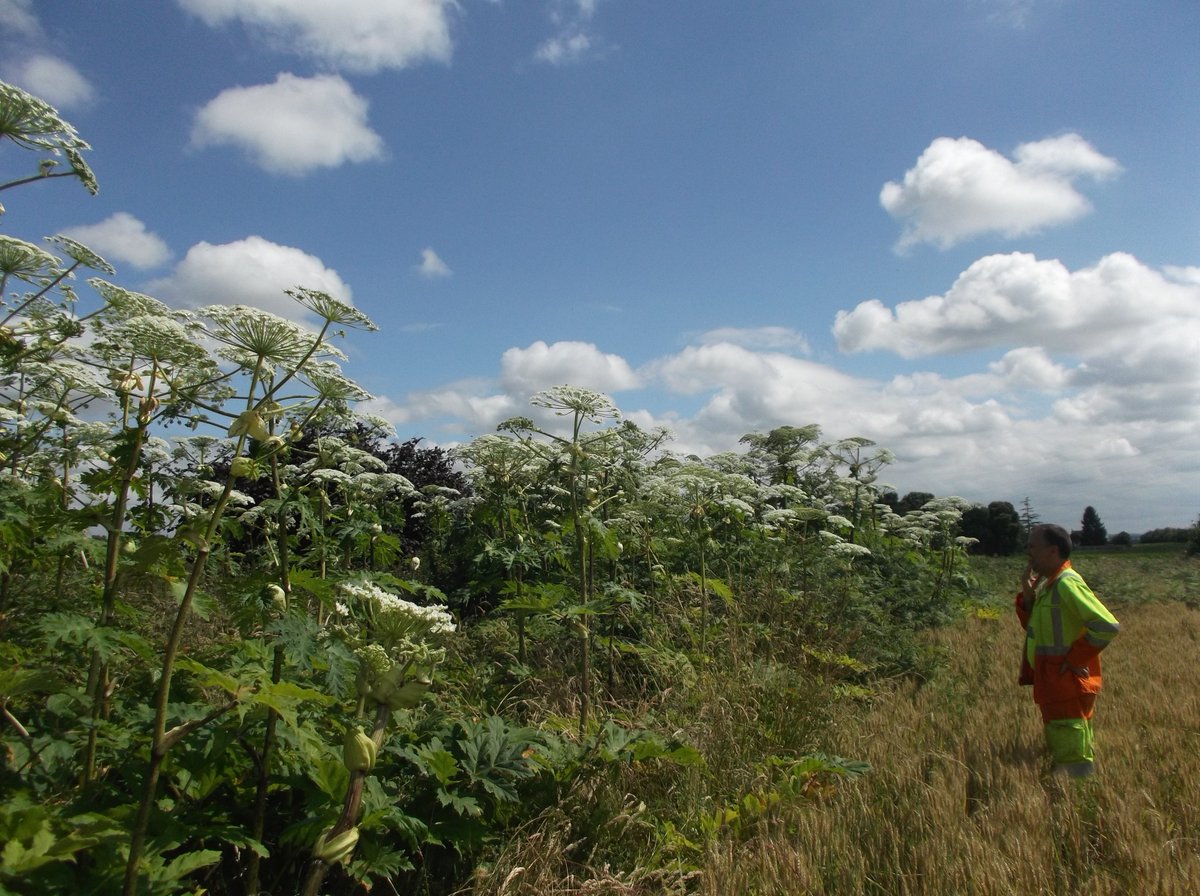 [Agenda] Journée technique 13 novembre Dépendances vertes d'infrastructures : #enjeux #Gestion #valorisation #biodiversite à Rennes <a href="/Noremat_/">Noremat</a> <a href="/DIR_Ouest/">DIROuest</a> <a href="/planteetcite/">Plante & Cité</a> <a href="/INERIS_fr/">Ineris</a> inscrivez vous bit.ly/2P2bwcy