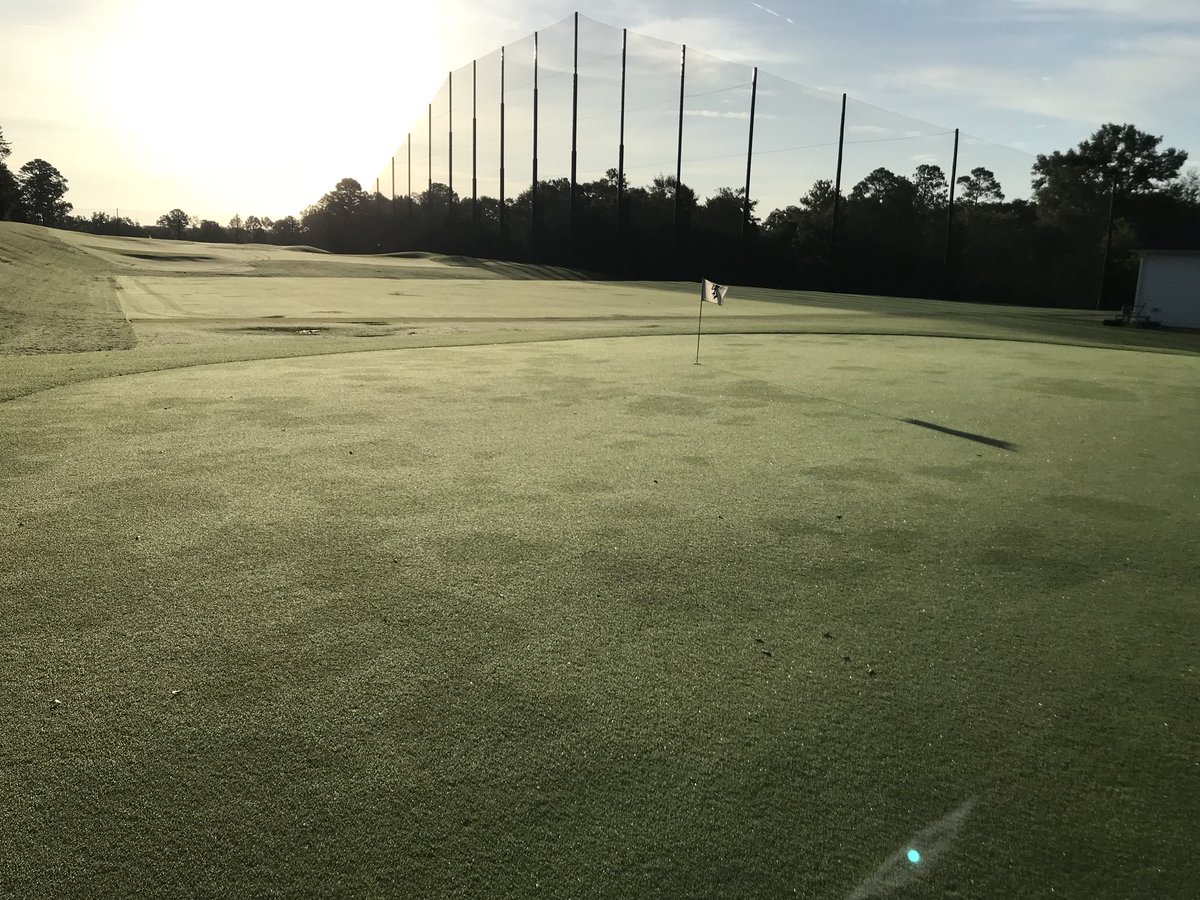 csugolfstudio's tweet image. Seeing what looks like early signs of bermudagrass decline. All sprayed up with lexicon and mirage but heavy rain must be moving chemistry through the profile. Plenty of wetting agent out too. Any suggestions? #bermudagrassdecline, #takeallpatch