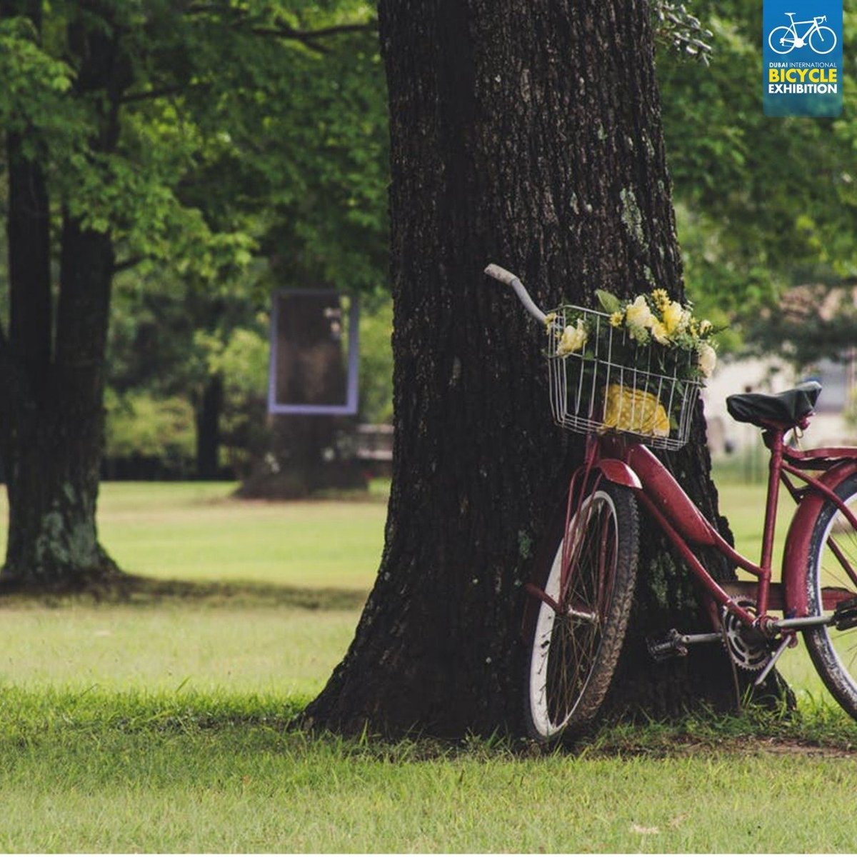 A long ride through the city is enough to exhaust you. Hence, when you're done cycling don’t forget to nap 😜

ركوب الدراجات الهوائية مثل أي رياضة يتطلب منك الراحة لذا لا تنسى أخذ قيلولة 😜

#DubaiInternationalBicycleExhibition #mydubai #UAE #dubai #cycling #roadbike #MTB #Kuwait