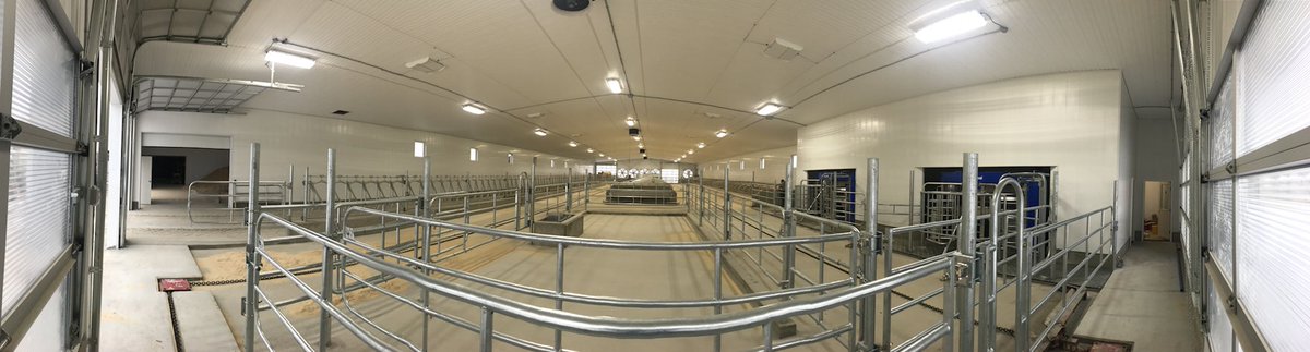 All ready for cows. Beautiful two robot barn. <a href="/SaskviewFS/">Saskview Farm Solutions</a> <a href="/SaskMilk/">SaskMilk</a>