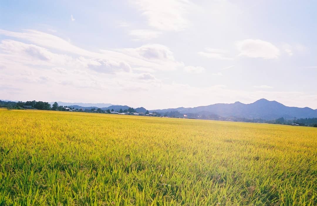 nazu_penpen's tweet photo. 大館の秋が最高すぎました。
#大館市 #秋田県 #秋田県大館市 #photography #filmphotogrh #ファインダー越しの私の世界 #フィルム写真 #odateframstay #odate #キリトリセカイ #フィルムカメラ #フィルム好きな人と繋がりたい #artgraph #本当は誰にも教えたくない秋田 #農村カメラガールズ https://t.co/GqSPVeVzvF