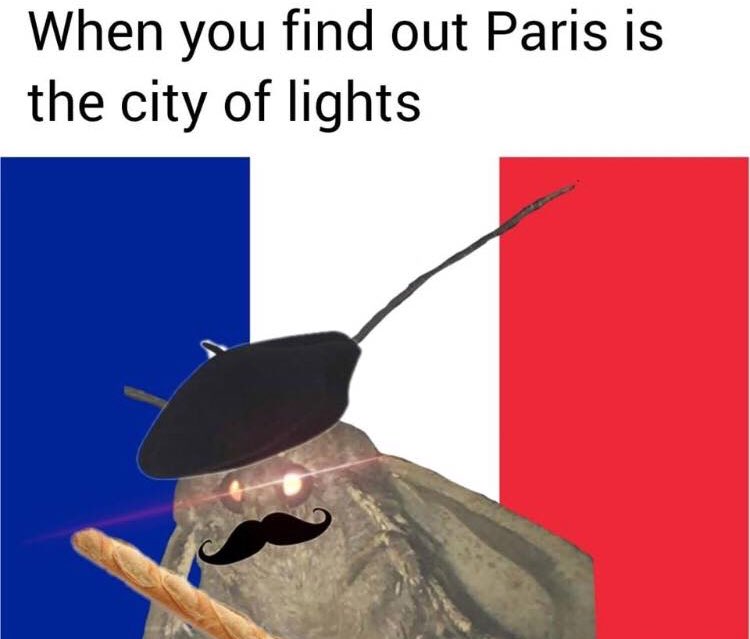 moth meme