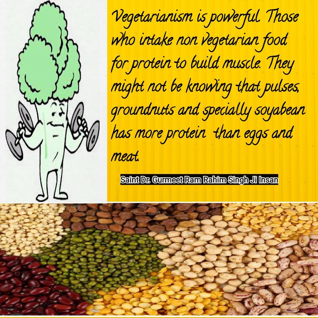 Insanmamta1's tweet photo. A vegetarian person is more powerful than non-vegetarian.
And meat should never eat, this disease spreads.

Many pulses contains many proteins, eat only lentils.

#BeVegetarianSaysStMSG https://t.co/HxYF5Vnfbb