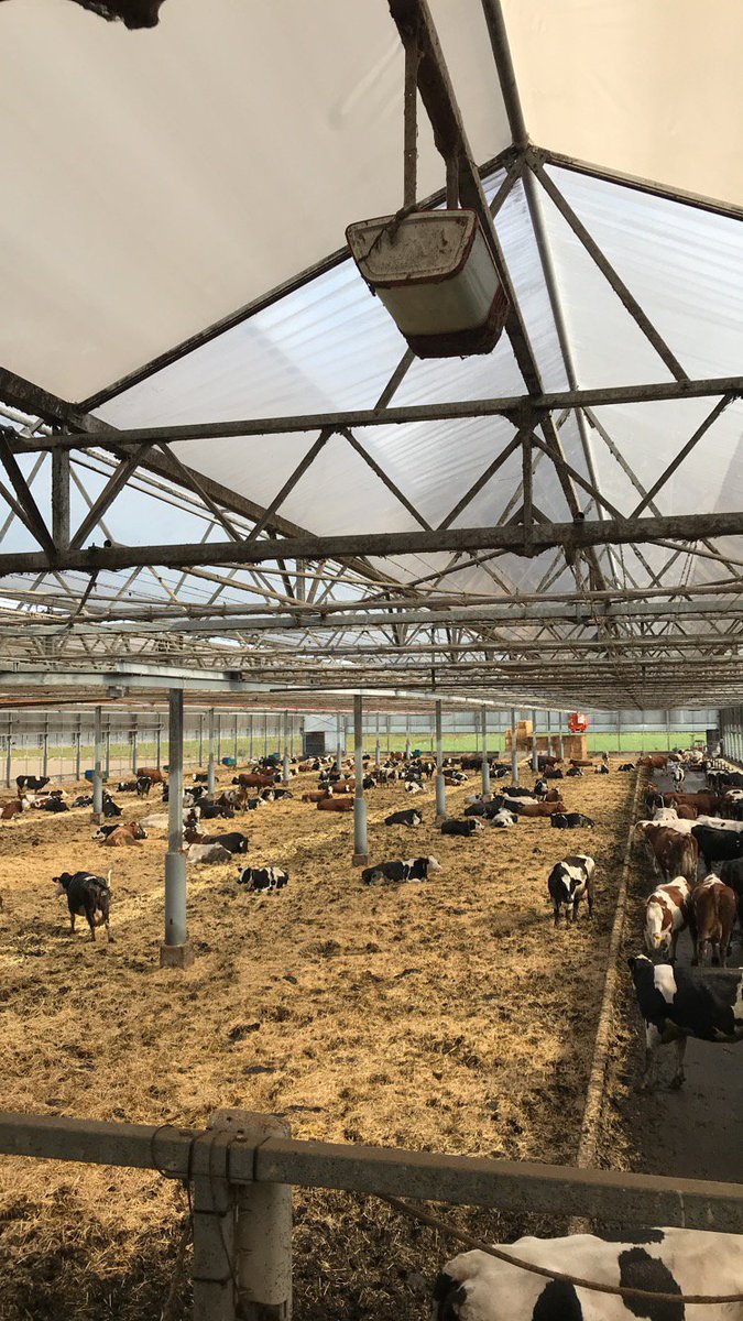 De 3 studenten van <a href="/AvansHogeschool/">Avans Hogeschool</a> die zichzelf bezig houden met de opdracht #boer in 2030 zijn afgelopen vrijdag begonnen met het bezoeken van innovatie boerderijen om kennis op te doen. @foodupbrabant #LICBrabant