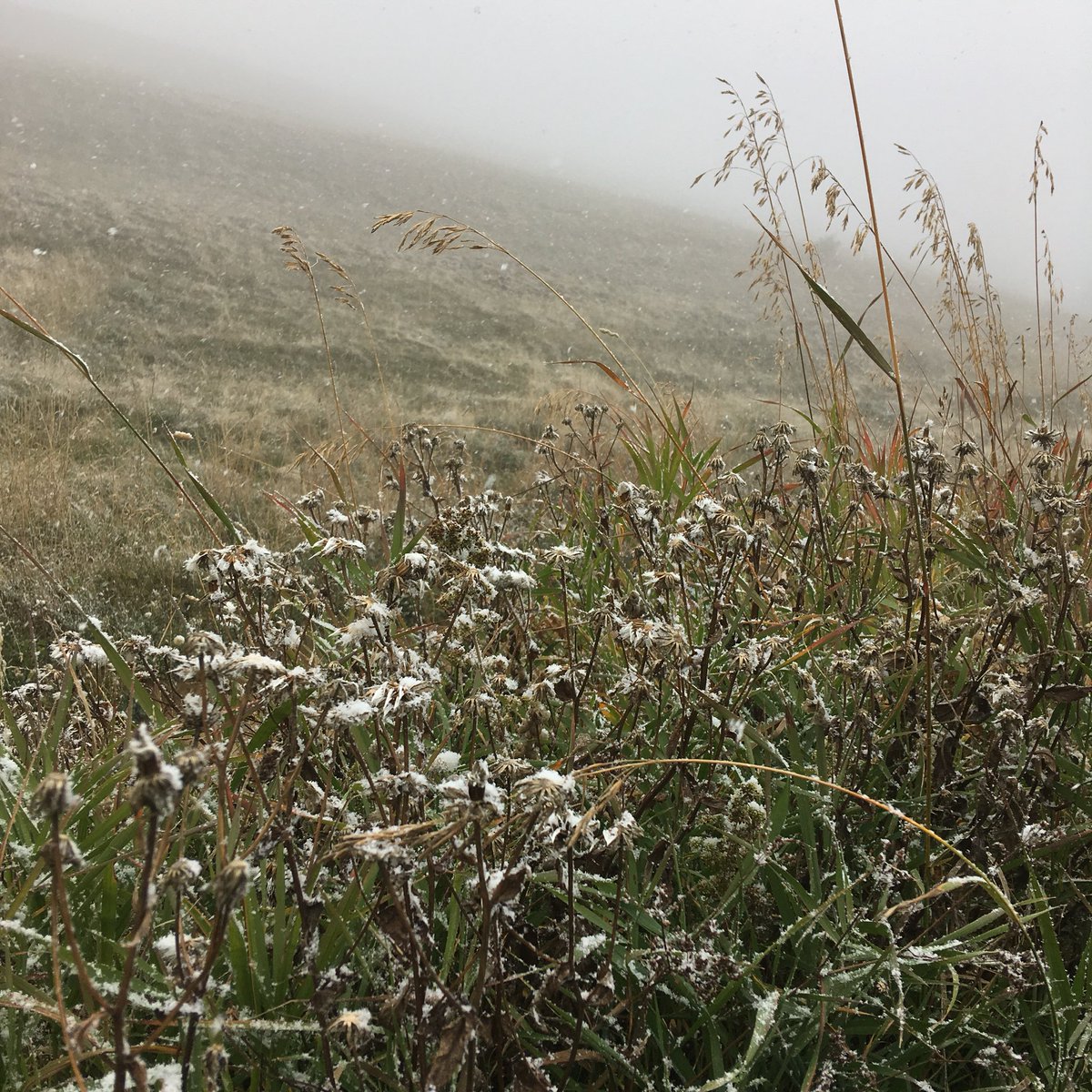 🍂❄️Quand les couleurs d’automne se mêlent à celles de l’hiver à venir❄️🍂