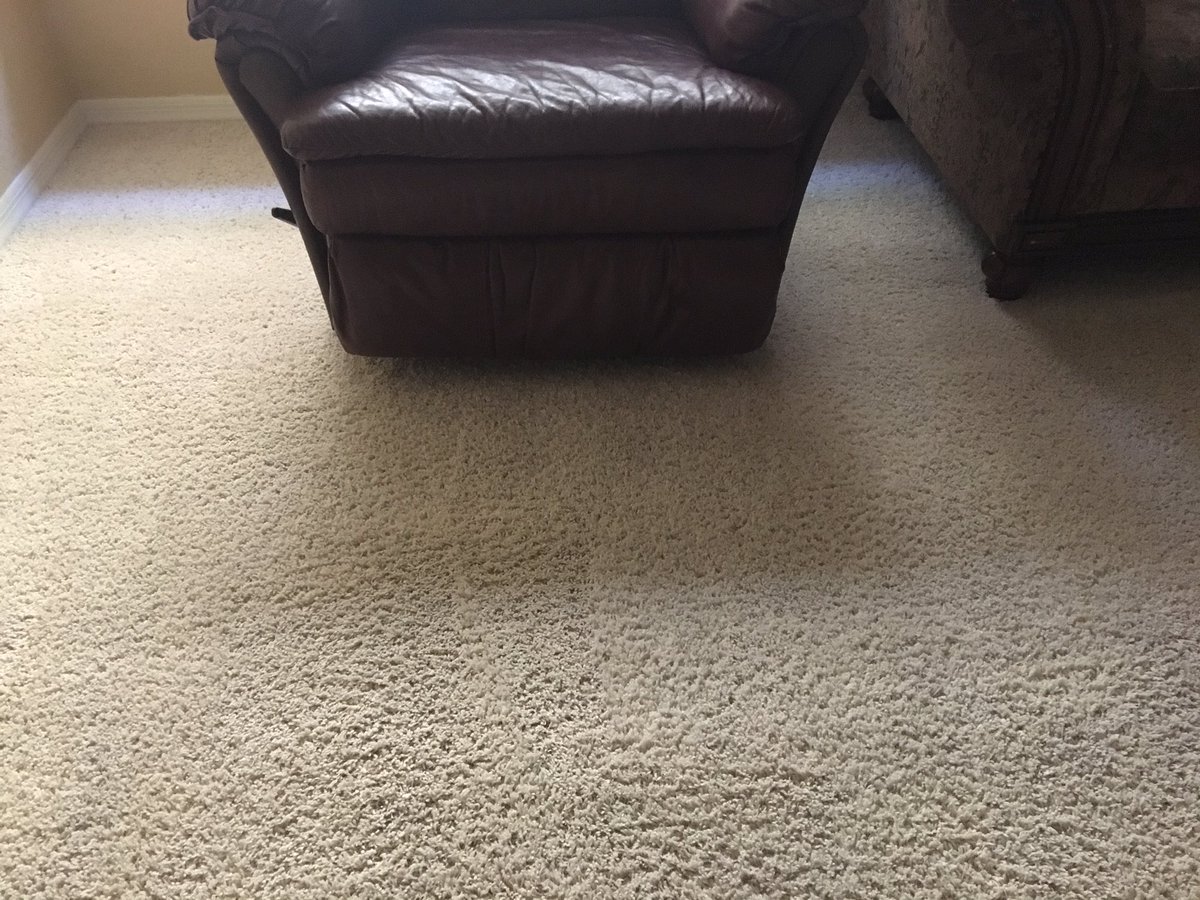 CardinlCarpetAZ's tweet photo. Carpet cleaning in Glendale Arizona. We are Glendale Arizona’s carpet cleaning Service of choice! Call today for your free quote! https://t.co/h5IAXpdtn8 Mon-Sat.8am-8pm.(602)678-1536 #Carpetcleaning #Carpetcleaner #Tilecleaning #Iplaydrums #Schemmamarkup #Googlemybusiness #Seo https://t.co/VdjW00Bk03