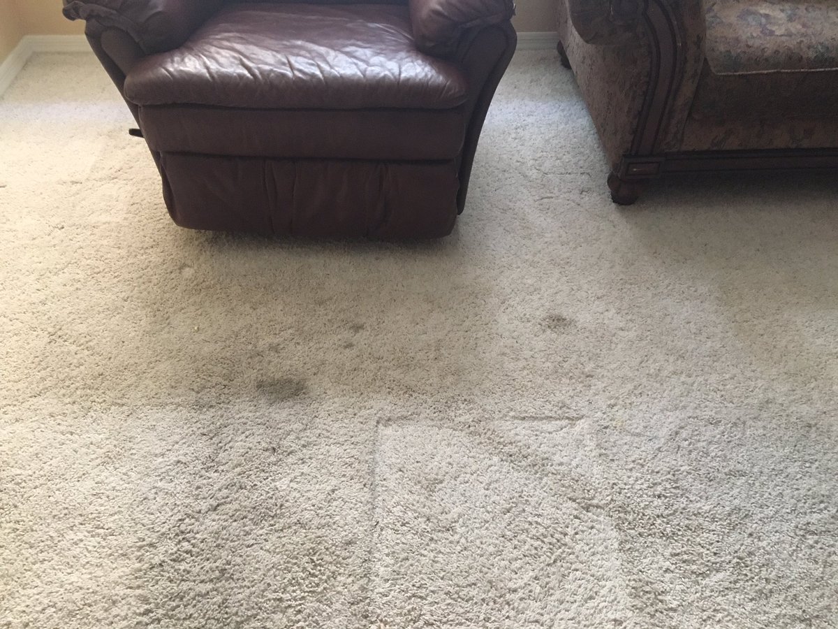 CardinlCarpetAZ's tweet photo. Carpet cleaning in Glendale Arizona. We are Glendale Arizona’s carpet cleaning Service of choice! Call today for your free quote! https://t.co/h5IAXpdtn8 Mon-Sat.8am-8pm.(602)678-1536 #Carpetcleaning #Carpetcleaner #Tilecleaning #Iplaydrums #Schemmamarkup #Googlemybusiness #Seo https://t.co/VdjW00Bk03
