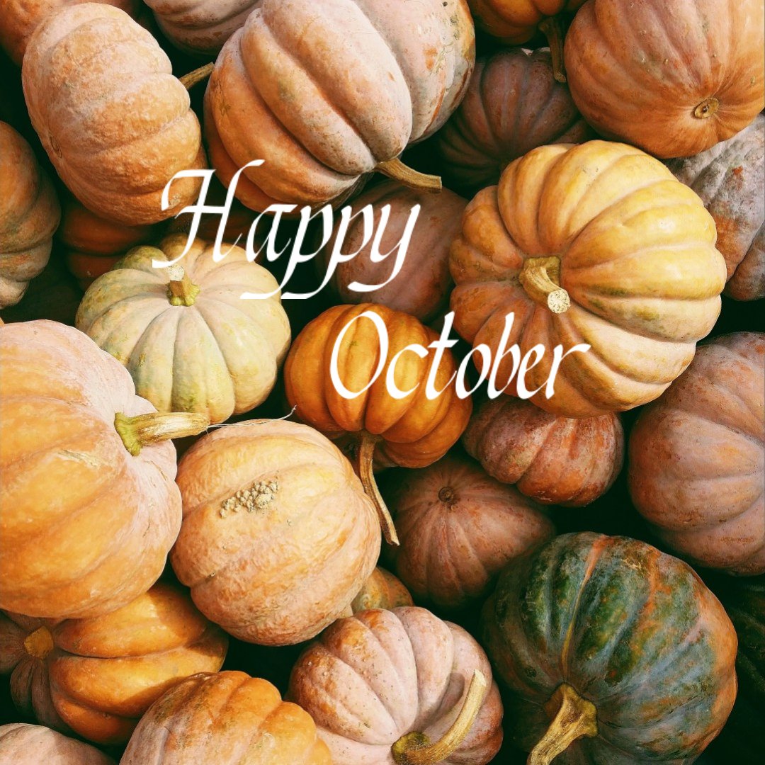 Andreasri's tweet photo. It may be Autumn, but our menu is anything but basic…
.
.
.
.
#andreasrestaurant #providenceri #providenceeats #greekamerican https://t.co/T6aYG0m4nu