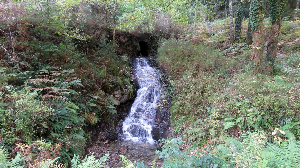 WalkNorthWales's tweet photo. Walk along the River Mawddach just north of Dolgellau to see the Waterfalls, lovely walk but not as much water as expected. Also took in Rhaerder Ddu - The Black Waterfall. https://t.co/yeru7KCd1w https://t.co/b6kbFoZG7y