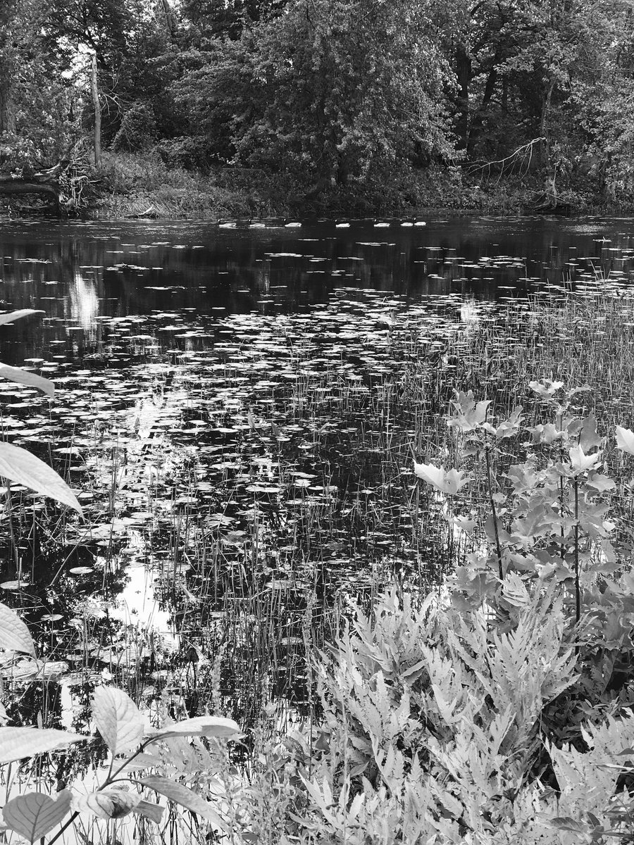 ArmChairLaura's tweet photo. #mylifeinblackandwhite now I’m posting random B&amp;W pics.  No clue what day I’m on.  Or when my last post was.  I can’t keep up.  #7daysGone https://t.co/MFANSuE4UU