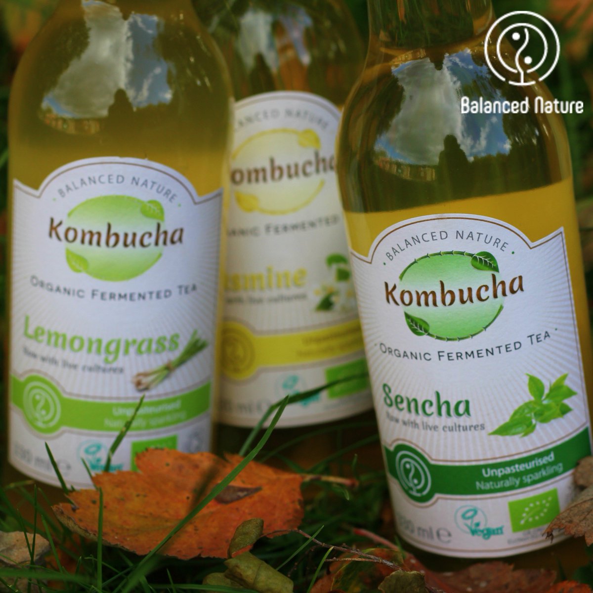 Each moment of the year has its own beauty 🍁🍂
#kombucha #kombuchalovers #kombuchamaking #kombuchaUK #kombuchalover #kombuchaaddict #kombuchalove #fermentedtea #probiotictea #booch #organickombucha #gutfriendly #probioticdrink #naturalprobiotic #nonalcoholicdrink #lowsugardrink