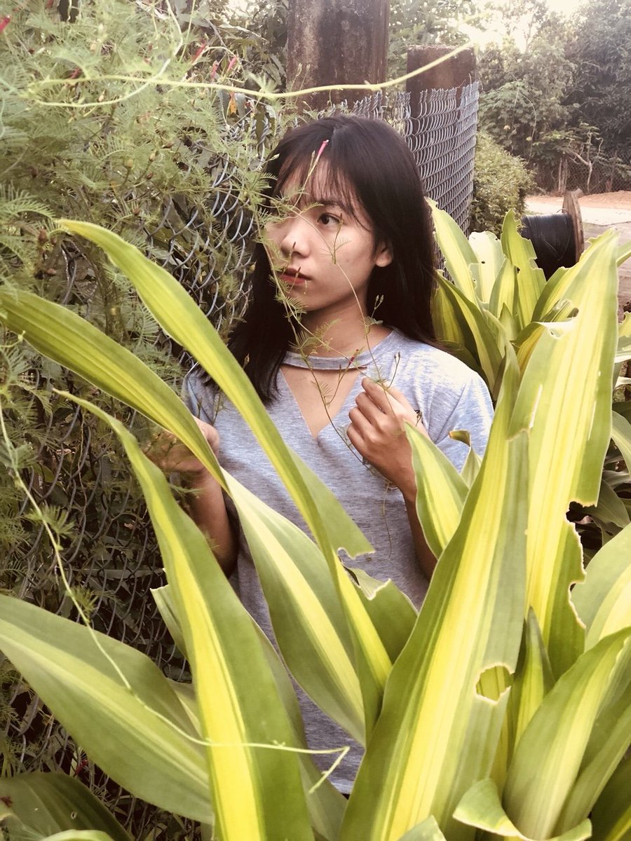 AnhThu1505's tweet photo. Những bông hoa ARMY cùng nhau khoe sắc nhé 💜 
Mình OT7 và bias không rõ ràng 😆
Đón #ARMYSelcaDay đừng quên stream "IDOL" nhé

@BTS_twt Favorite Social Artist #AMAs
#STREAMIDOLNOW https://t.co/c18dDVisKL