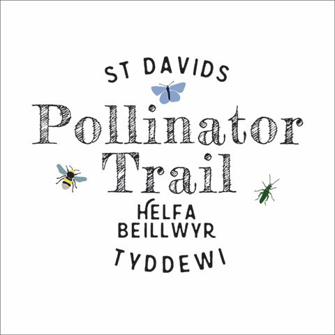 thebugfarmUK's tweet photo. We are delighted to have been nominated for @pembrokeshire Shwmae/Sumae Day awards in the category ‘A Business that have started using Welsh in their business as a result of the Welsh for Business project’ @Welsh4BizSouthW #findyourepic #learningwelsh #pollinatortrail https://t.co/WT92qQ1udn