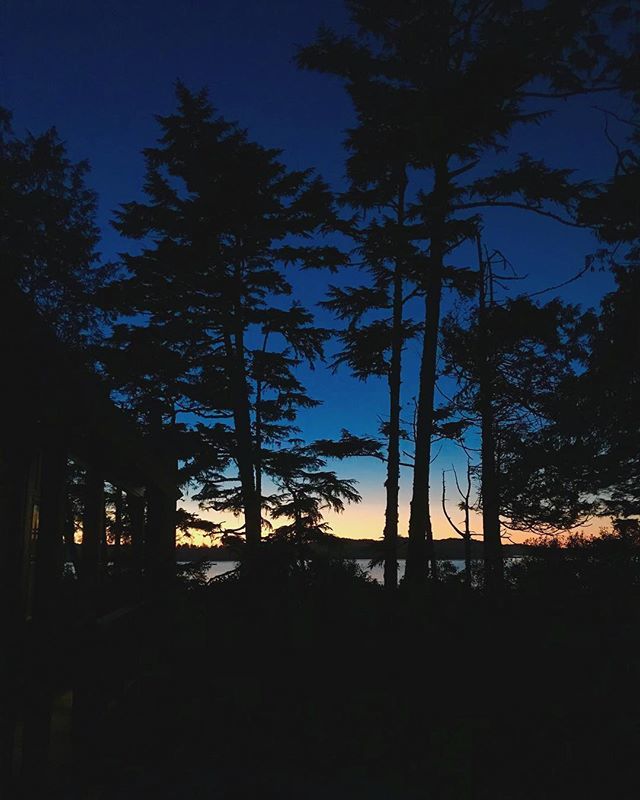 QuestUniCanada's tweet image. What did you get up to for your #BlockBreak adventure? Whatever it was, we hope it was FUN. #QuestUniversityCanada #QuestUniversity #YourQuest #Squamish ift.tt/2y3kxLg