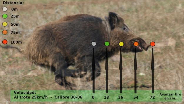 ¿Cuánto debo adelantar el tiro al jabalí en montería y batida? bit.ly/2y3liUC #ElCotodeCaza #Caza #Cazadores #Jabalí #Montería #Batida #Tiro #Trucos #Consejos #Claves