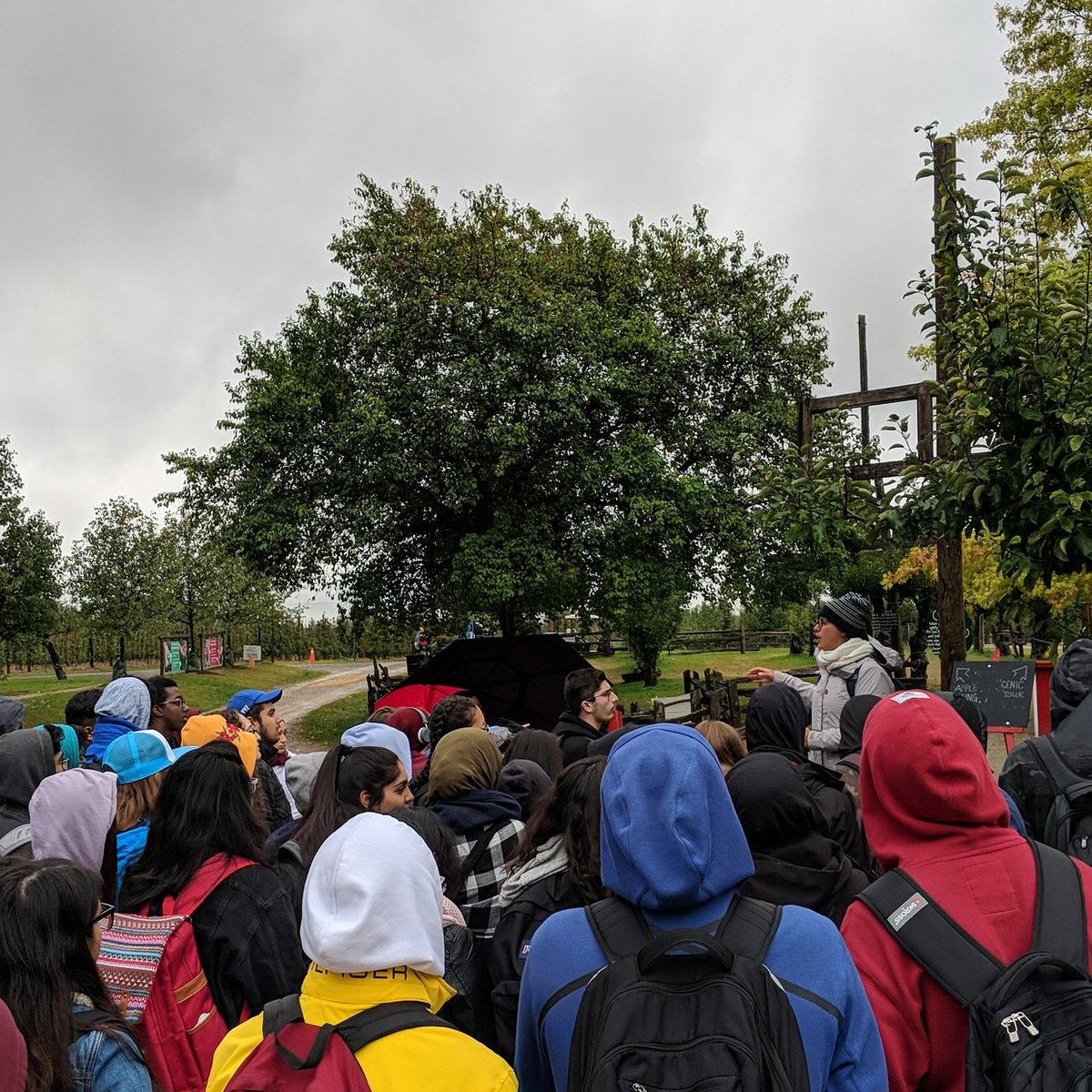 Learning about bee rental! <a href="/ChudleighsFarm/">Chudleigh's Farm</a>