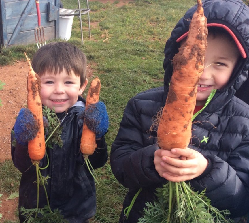 Farm to Cafeteria tweet media