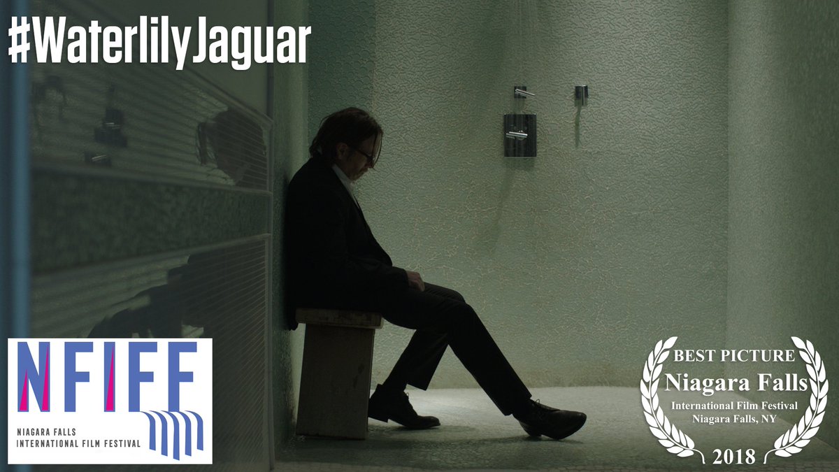 Waterlily Jaguar tweet media