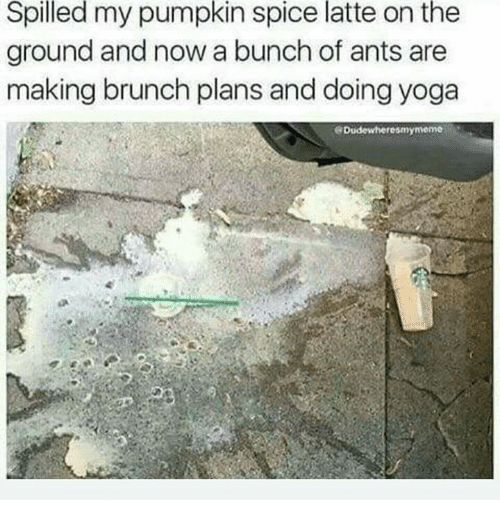 okBride.com tweet media