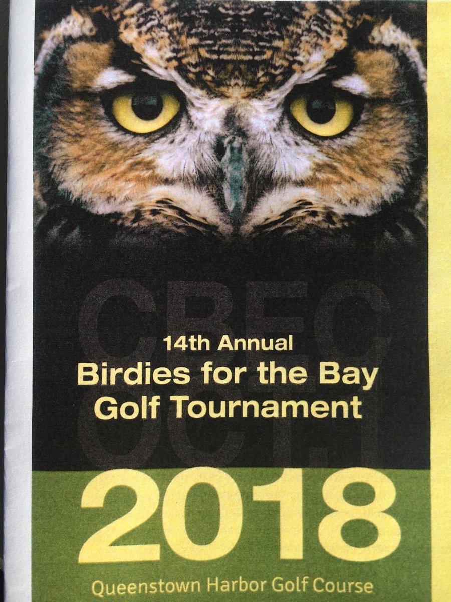 Queenstown Harbor tweet media