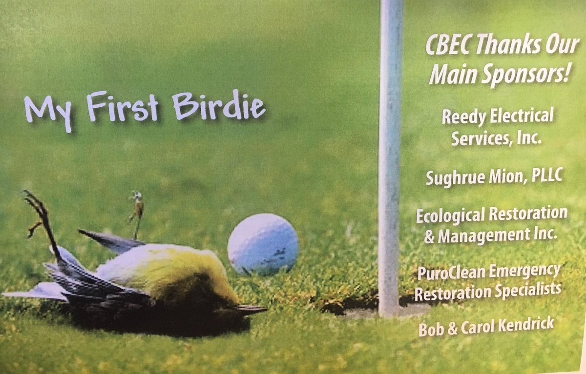 Queenstown Harbor tweet media